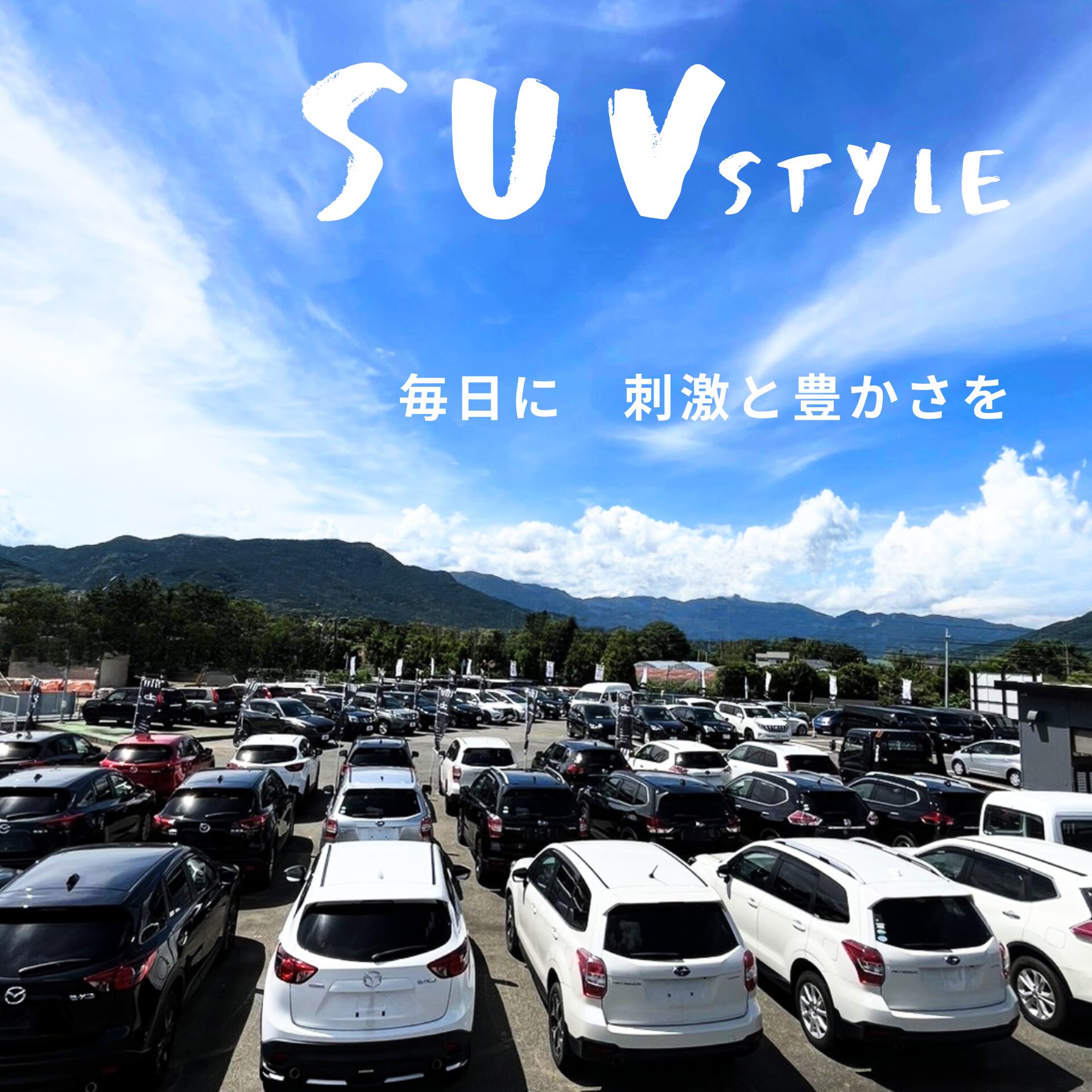 展示場写真