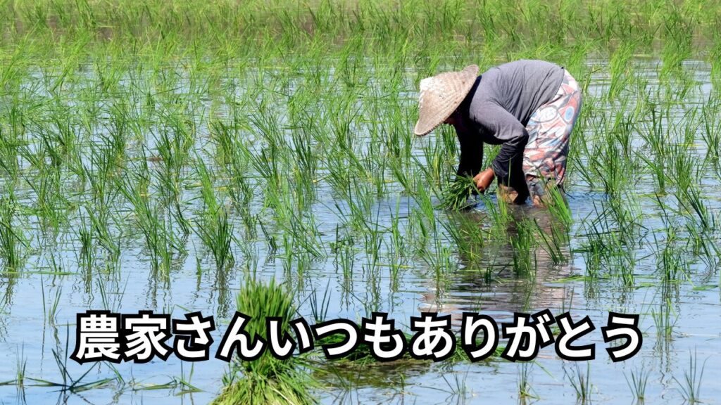 田植えの写真