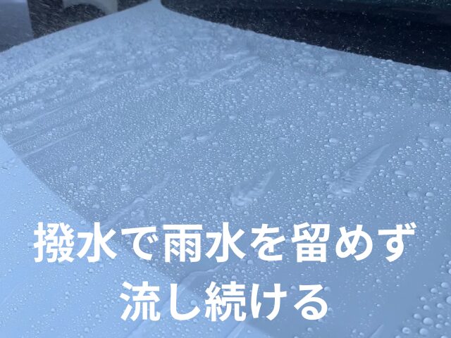 撥水コーティングを施したボンネットの写真