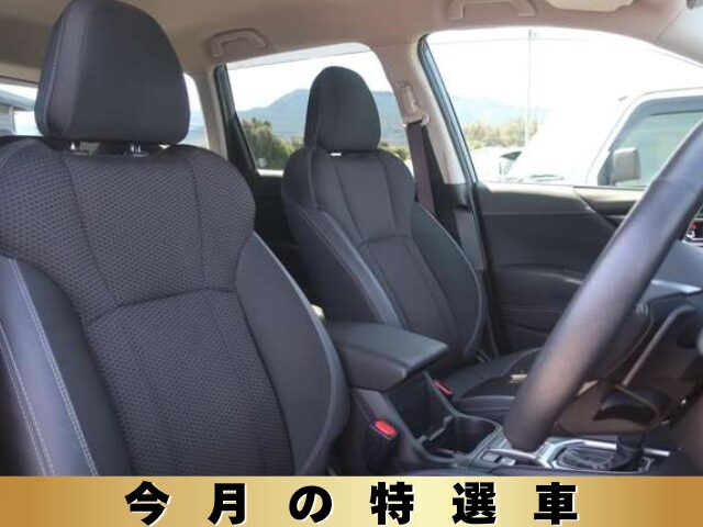 車両イメージ12