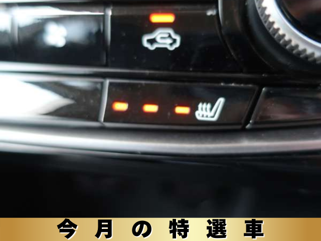 車両イメージ10