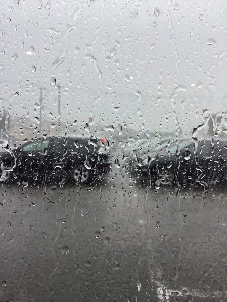 豪雨の写真