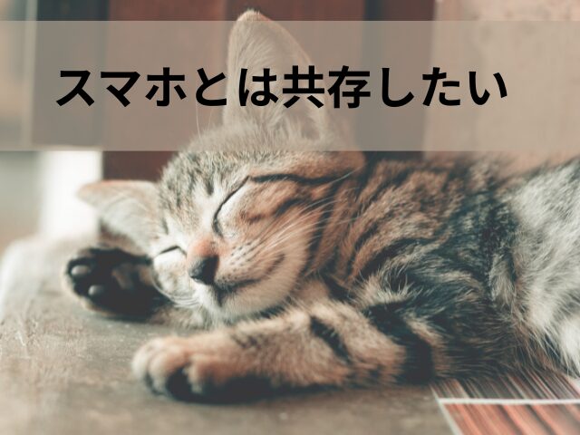 夏の疲れに睡眠対策バナー