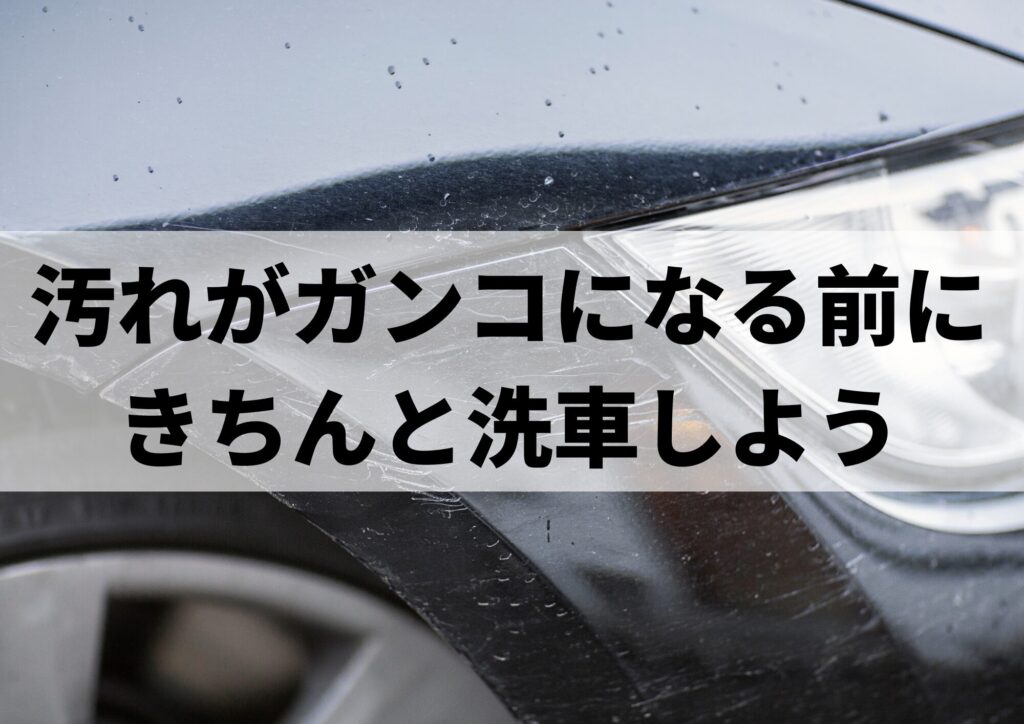 洗車は大事画像
