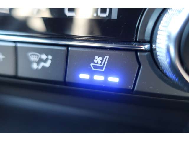 車両イメージ13