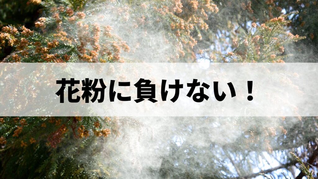 花粉対策のメンテナンスcolumn画像