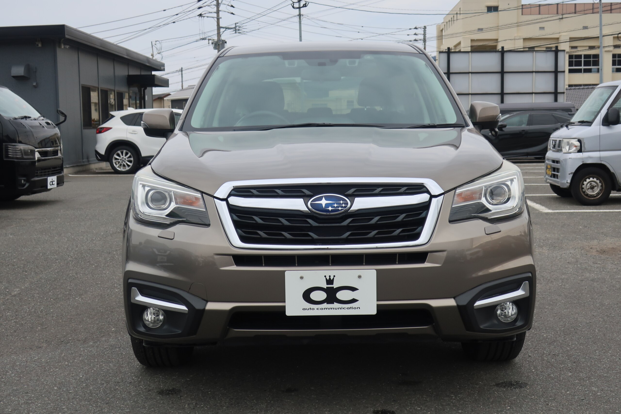 車両イメージ17