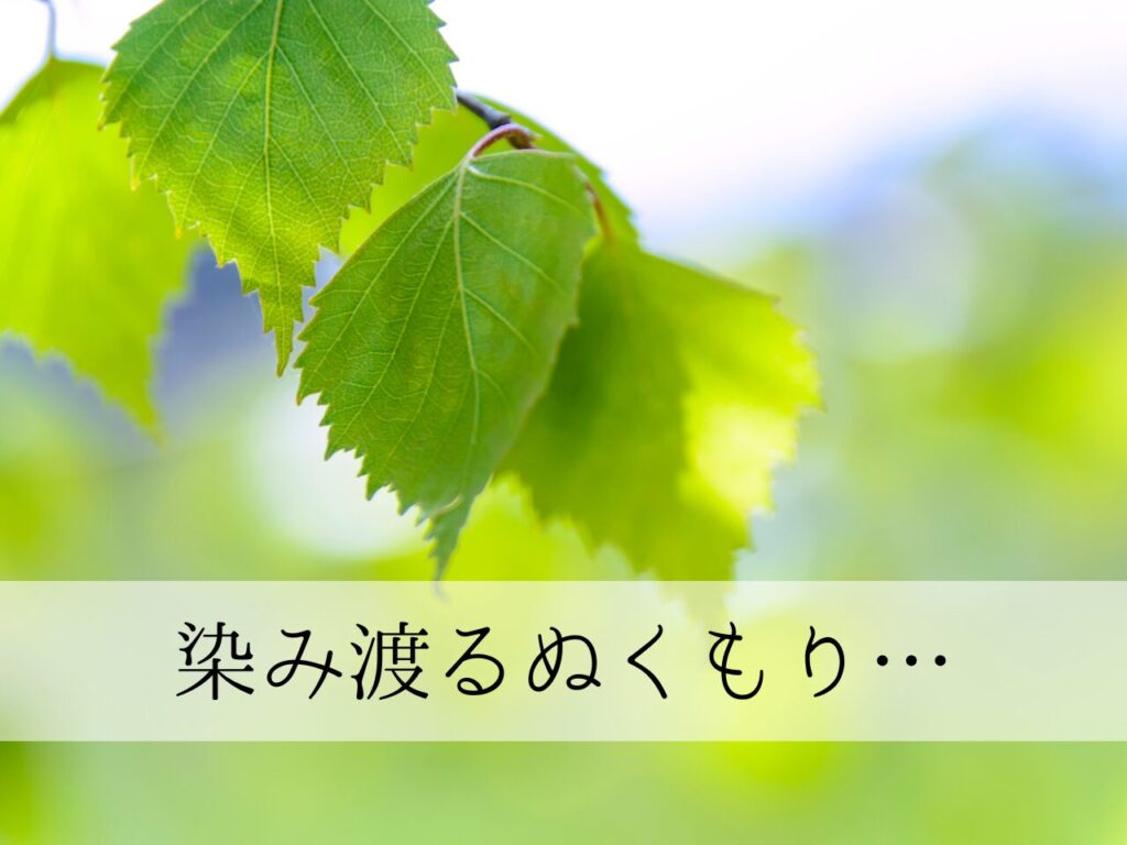 温かみのある木の葉の画像