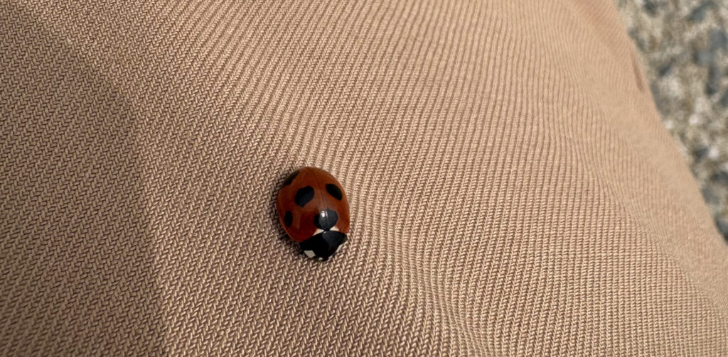 釣り場でできた友達