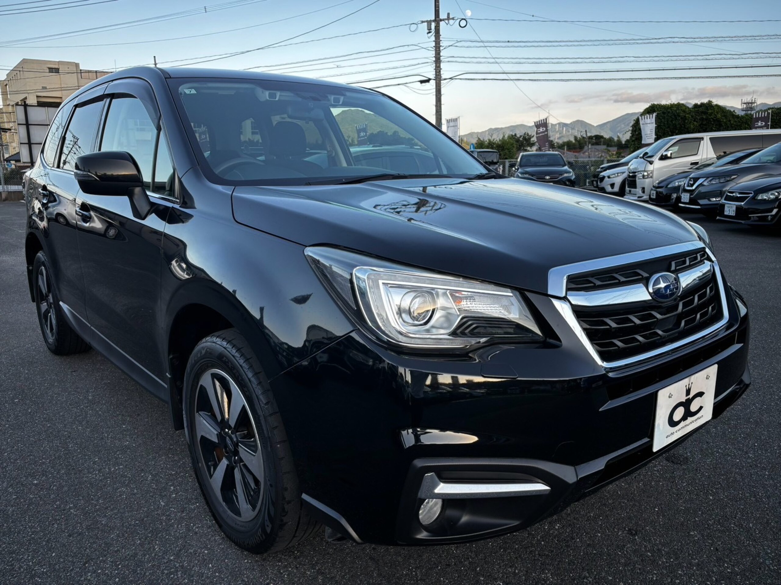 車両イメージ19